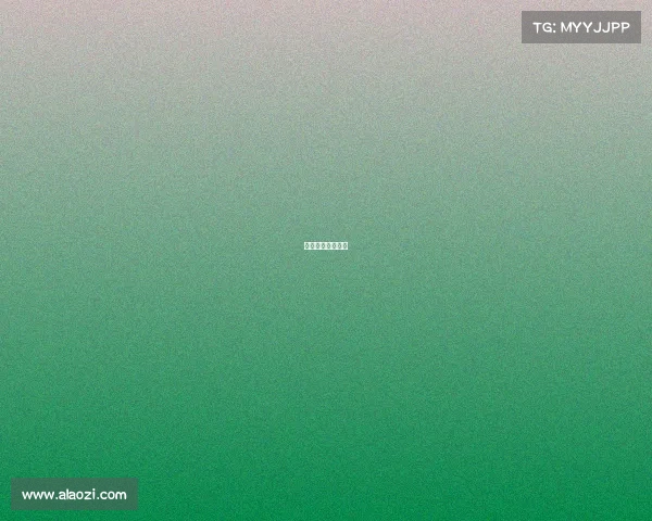 拳击赛事时间安排